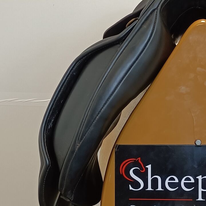 IMG20250211120252.jpg