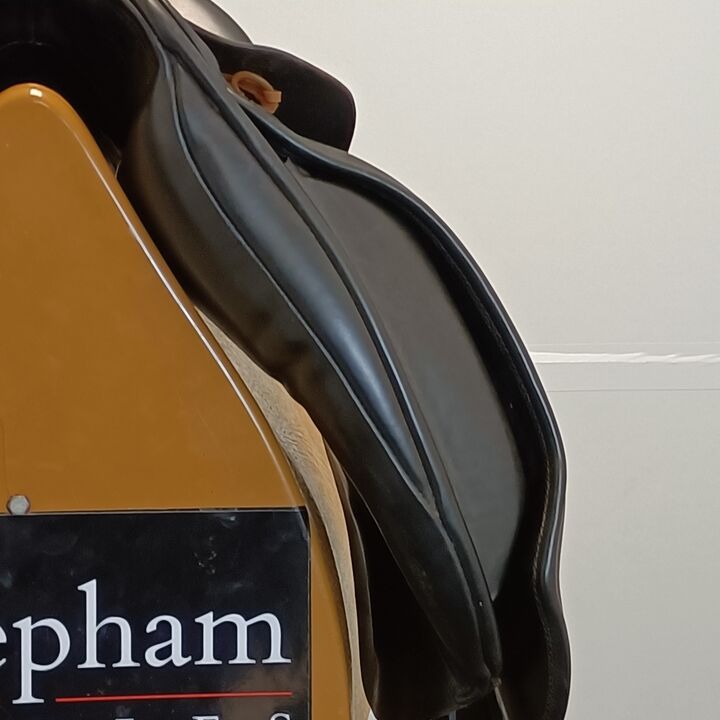 IMG20250211120255.jpg