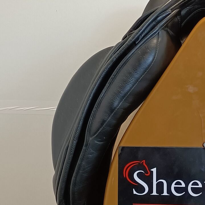 IMG20250211124123.jpg