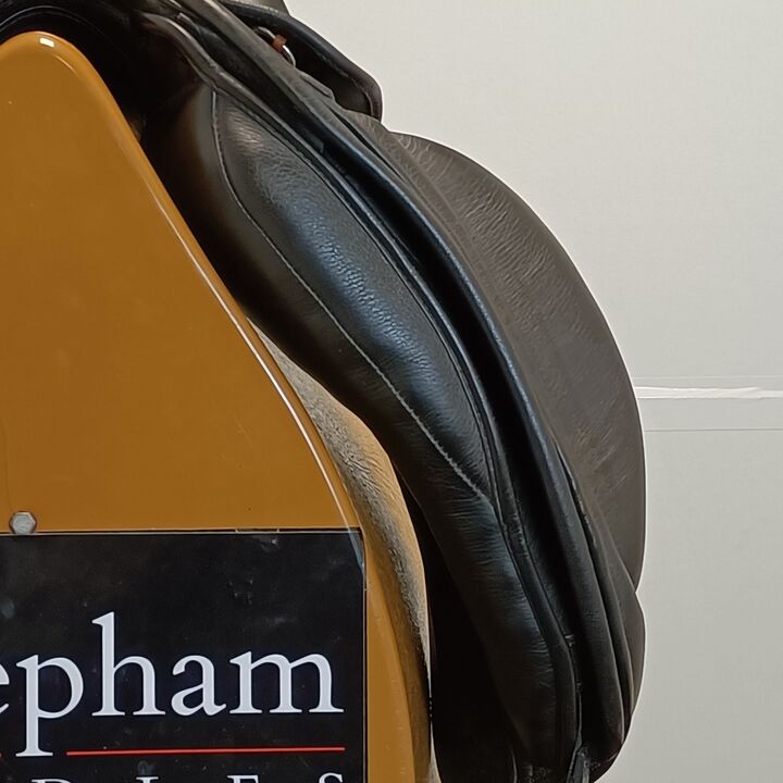 IMG20250211124124.jpg