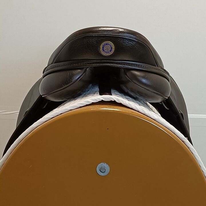 IMG20250211125128.jpg