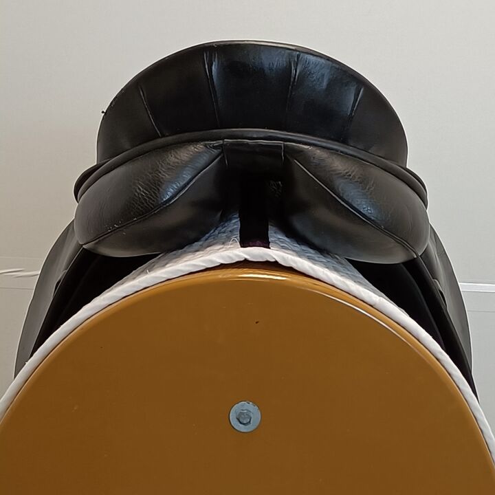 IMG20250211130631.jpg