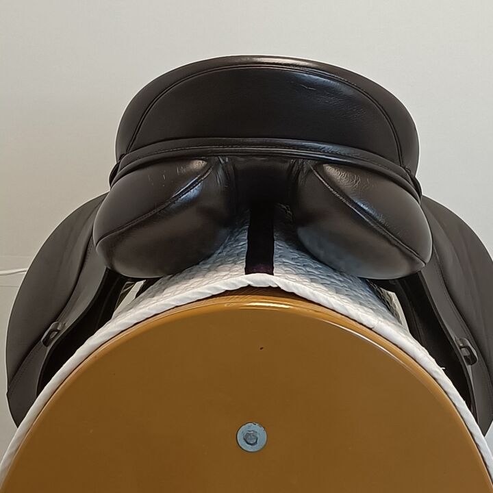 IMG20250213131830.jpg