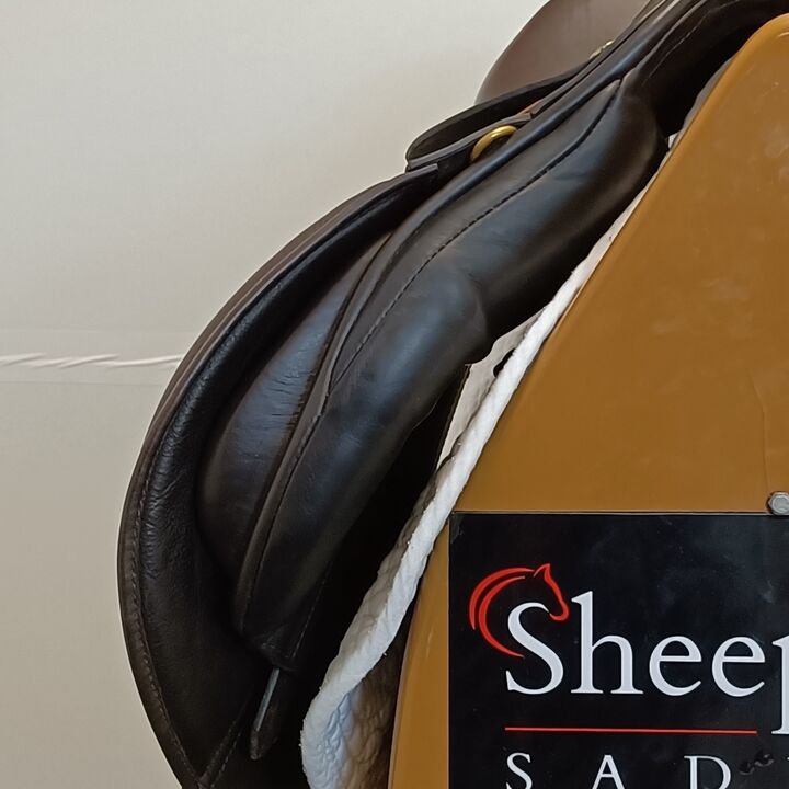 IMG20250220145719.jpg