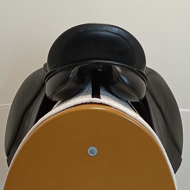 IMG20250227121625.jpg