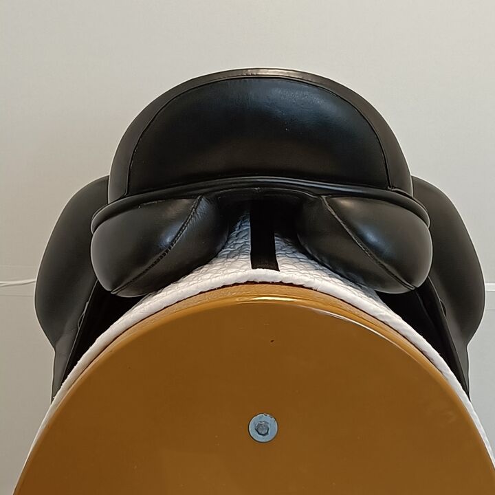 IMG20250227122603.jpg