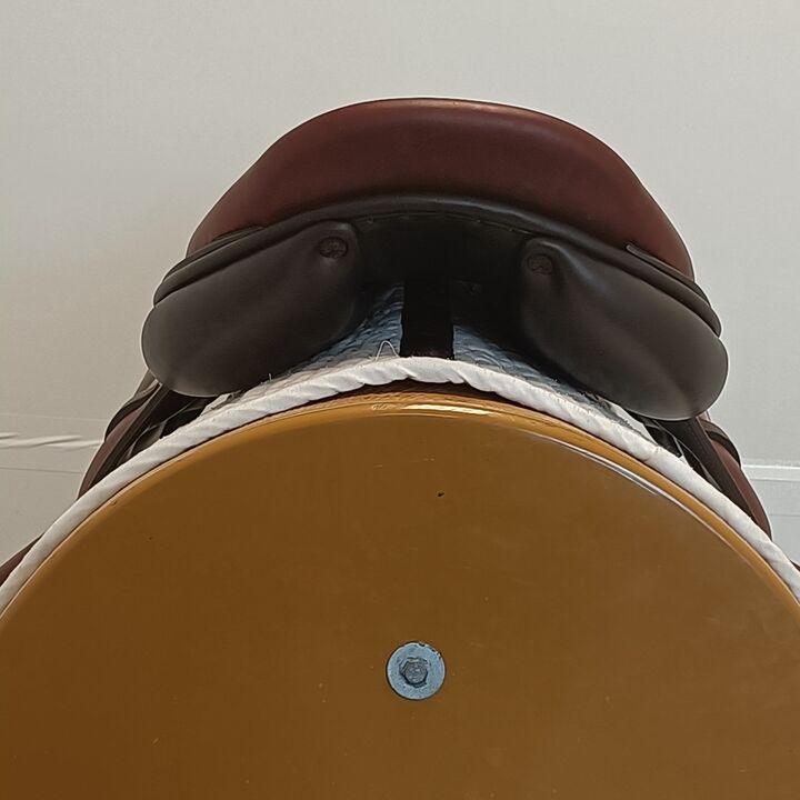 IMG20250227133558.jpg