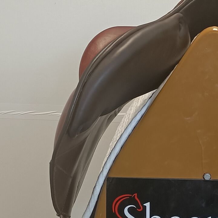 IMG20250227133701.jpg