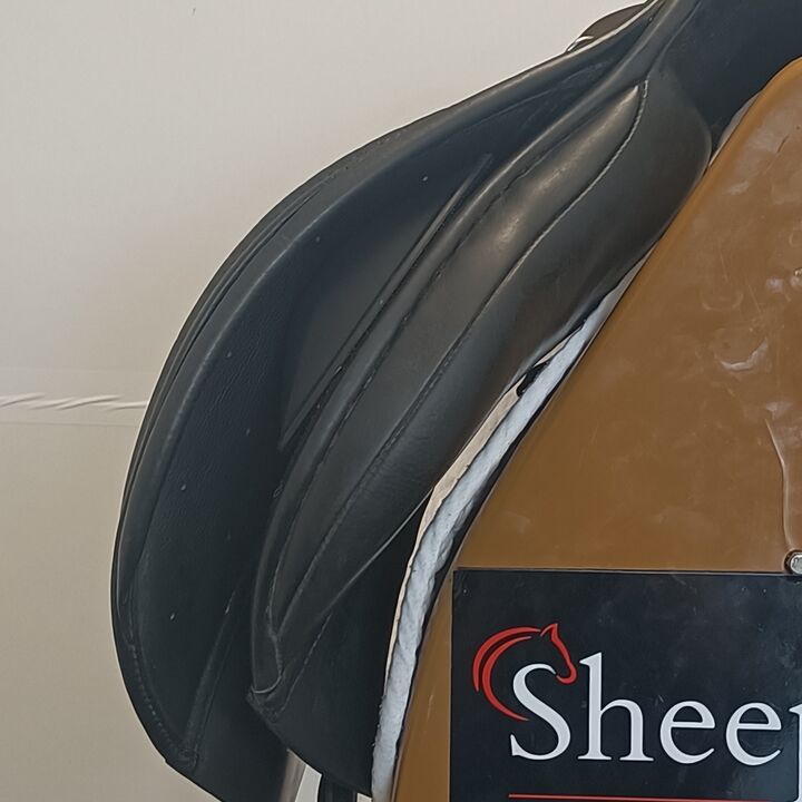 IMG20250227135023.jpg