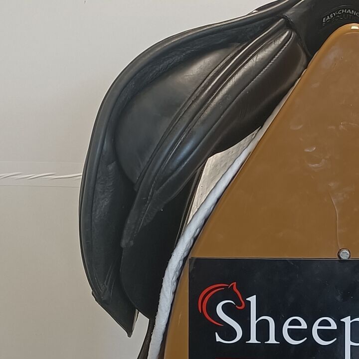 IMG20250227140218.jpg
