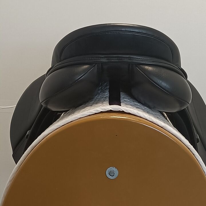IMG20250227140414.jpg