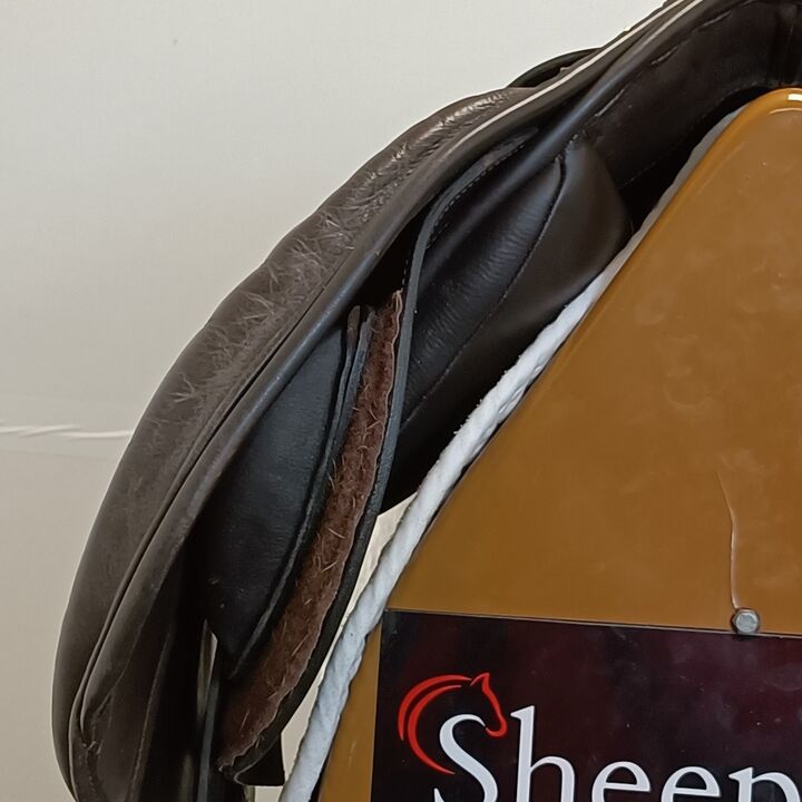 IMG20250320131243.jpg