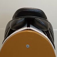 IMG20250320132817.jpg