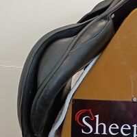 IMG20250320132910.jpg