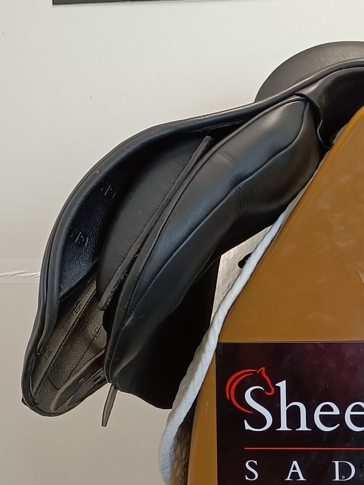 IMG20250320133203.jpg
