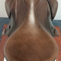 IMG20250320133647.jpg