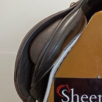 IMG20250320133736.jpg