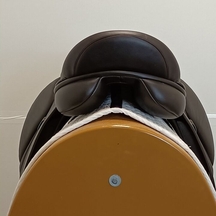 IMG20250320140247.jpg