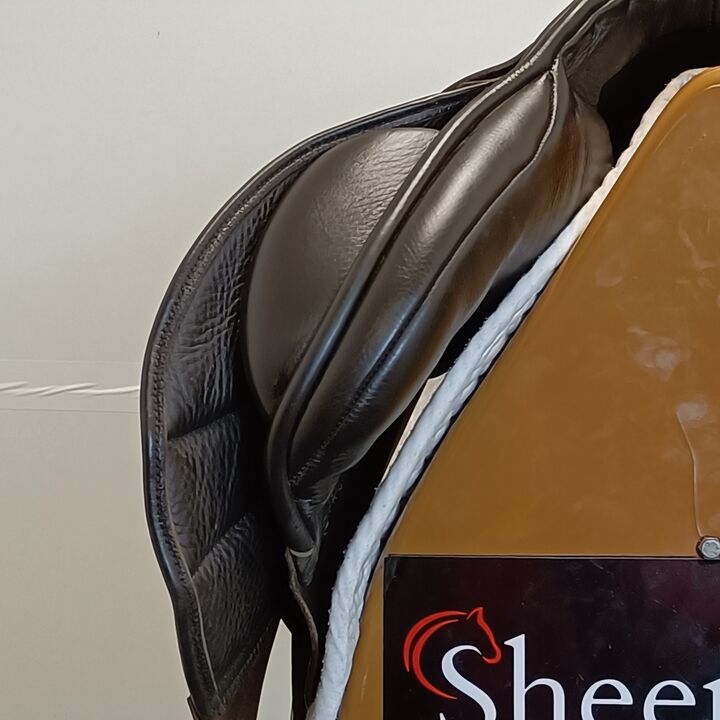 IMG20250321103153.jpg