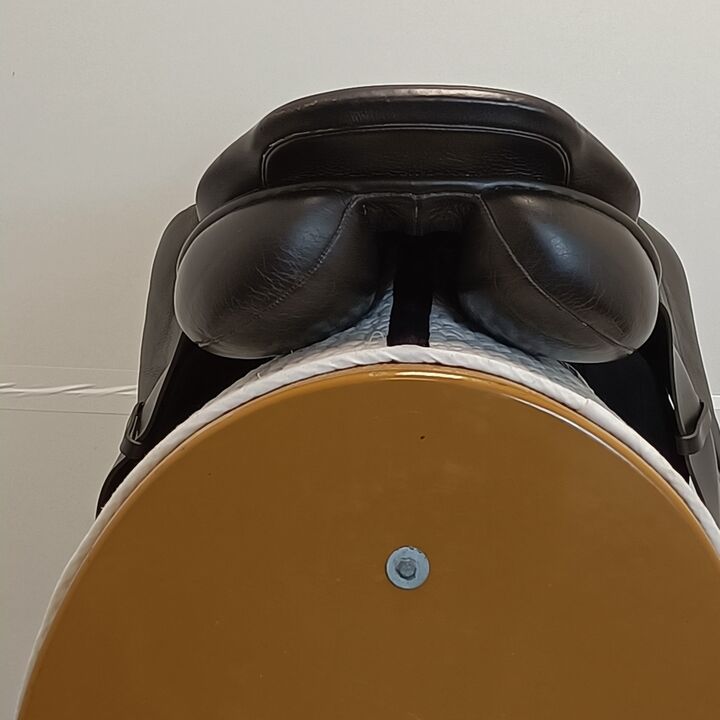 IMG20250321104018.jpg