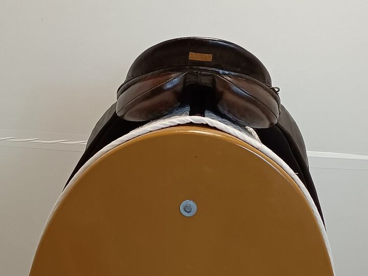 IMG20250321105413.jpg
