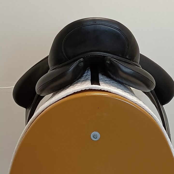 IMG20250321113236.jpg