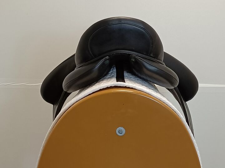 IMG20250321113236.jpg
