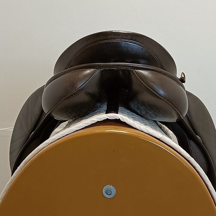 IMG20250327133507.jpg