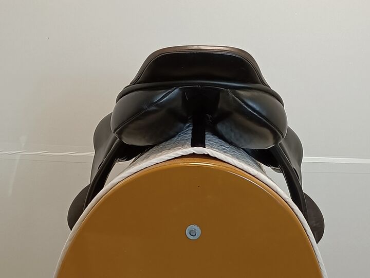 IMG20250401134137.jpg
