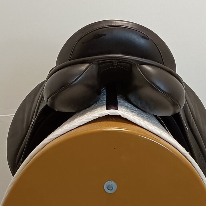 IMG20250401135709.jpg
