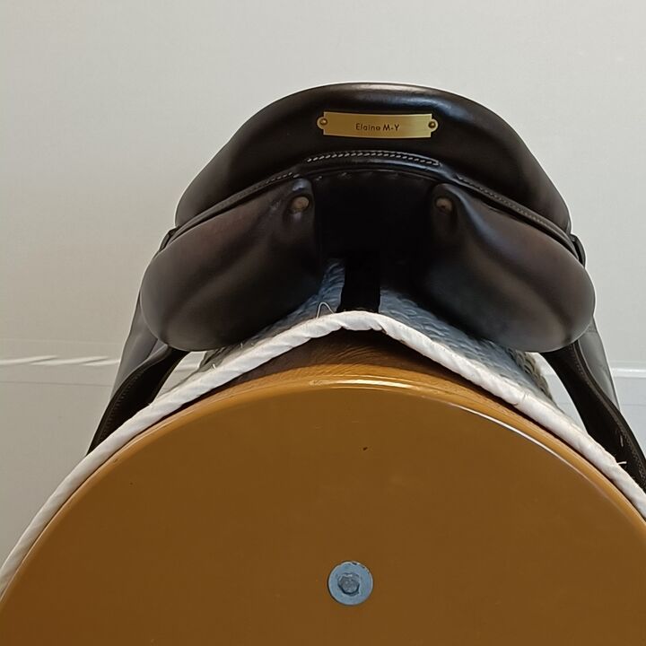 IMG20250406113214.jpg