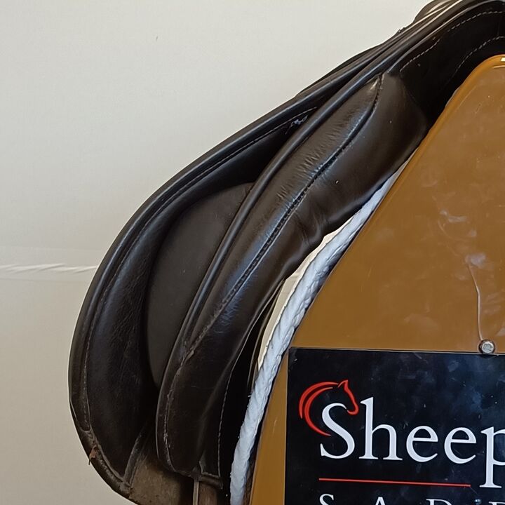 IMG20250411154301.jpg