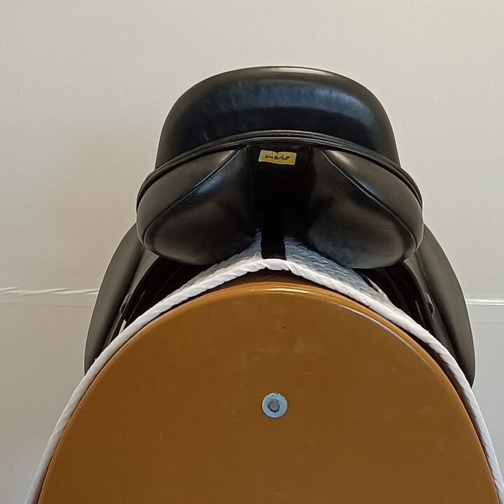 IMG20250411154519.jpg