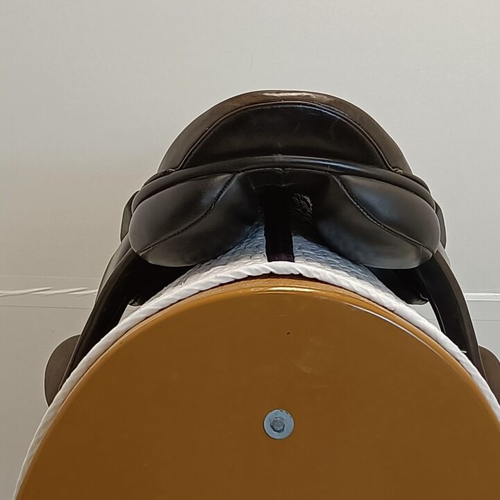 IMG20250417142448.jpg