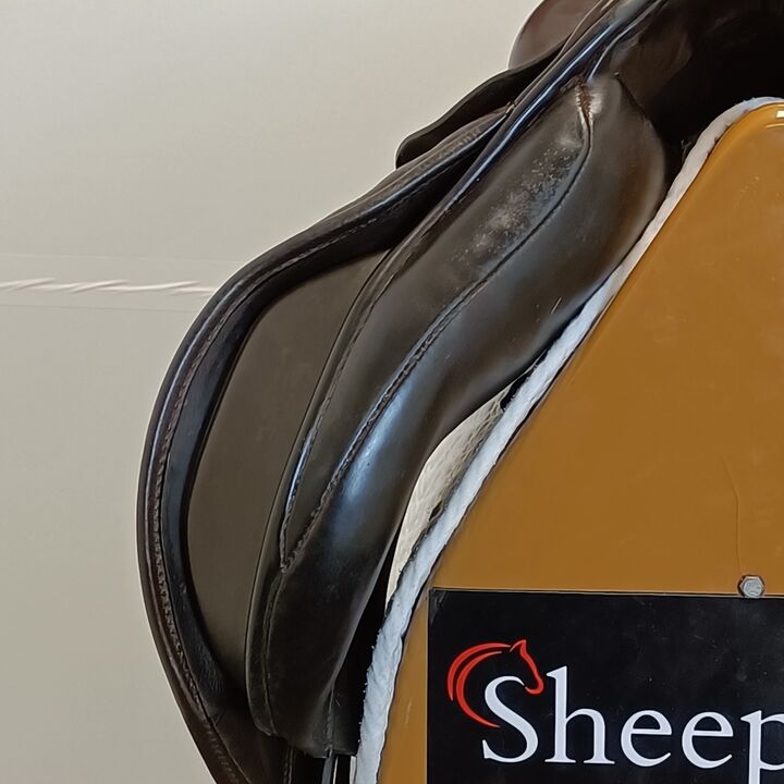IMG20250417155110.jpg