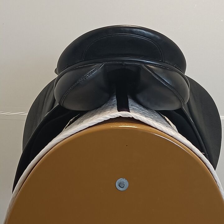 IMG20250729142316.jpg