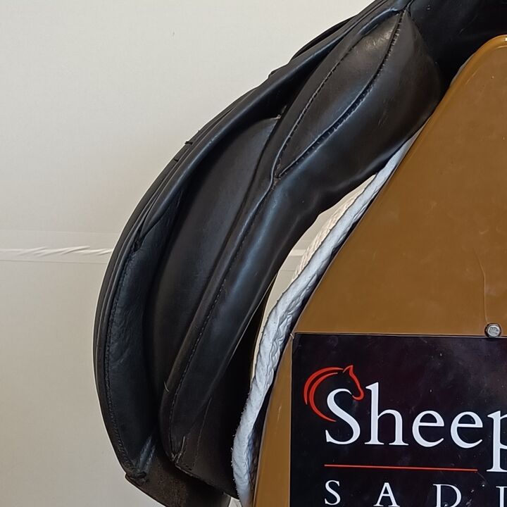 IMG20250729153552.jpg