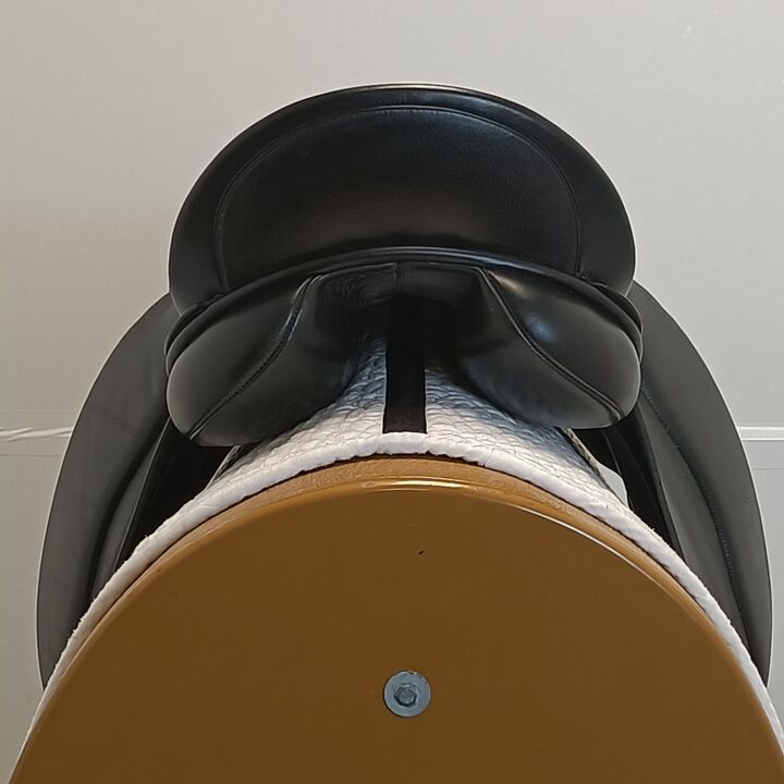 IMG20250804134044.jpg