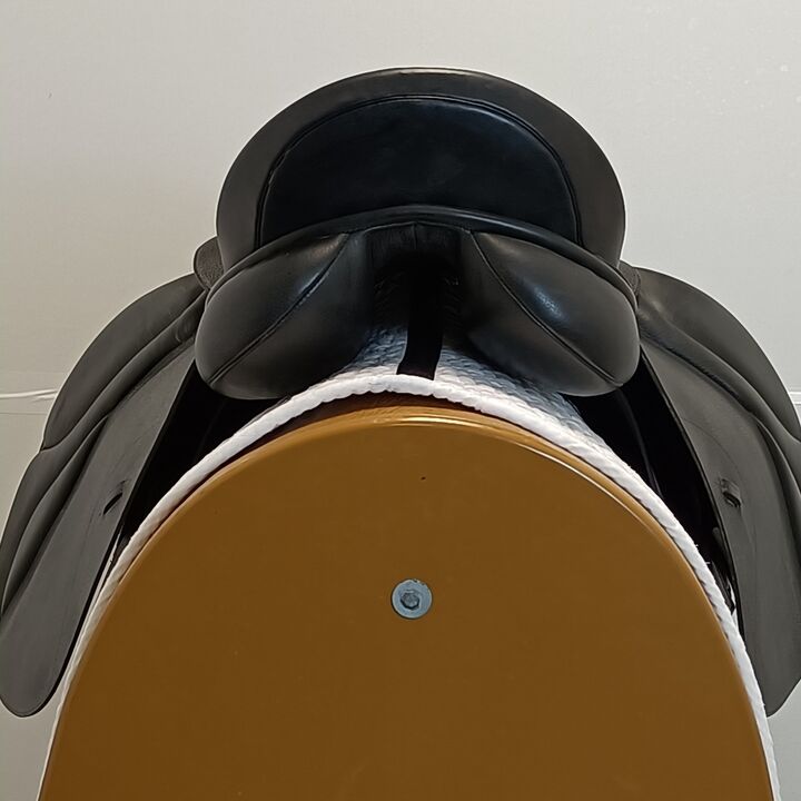IMG20250919120834.jpg