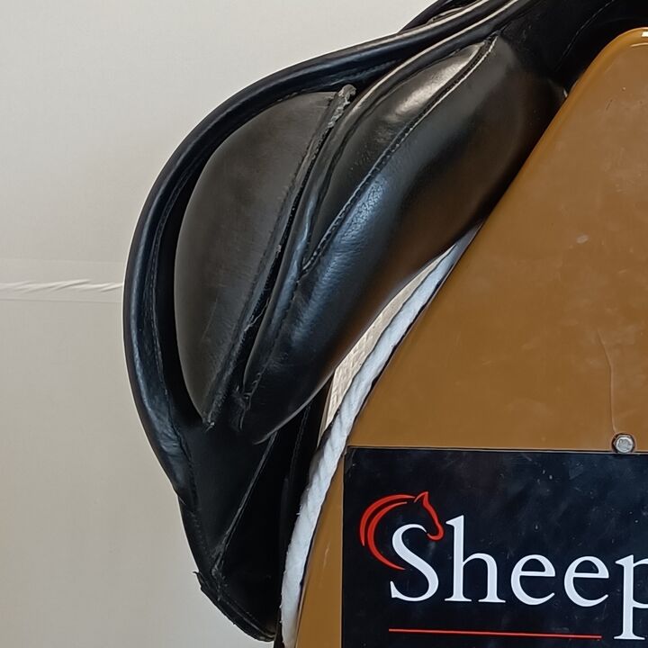 IMG20251001150115.jpg