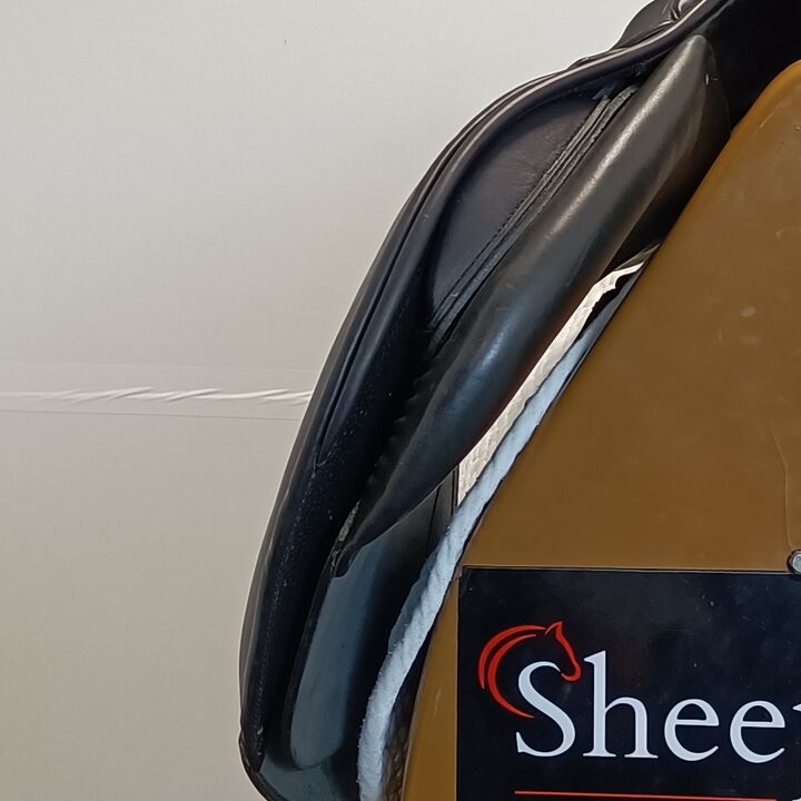 IMG20251013144449.jpg