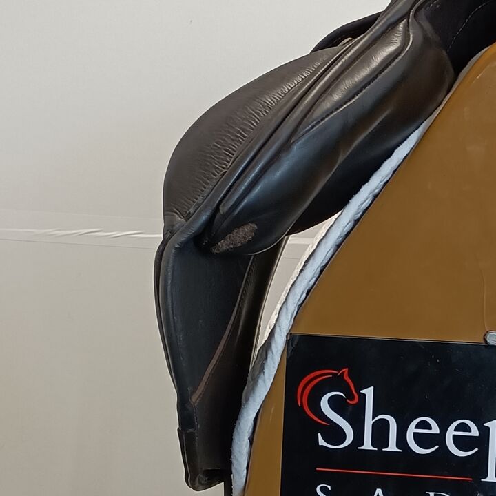 IMG20251016144649.jpg