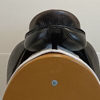 IMG20260423142028.jpg
