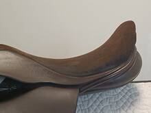 IMG20260515135259.jpg