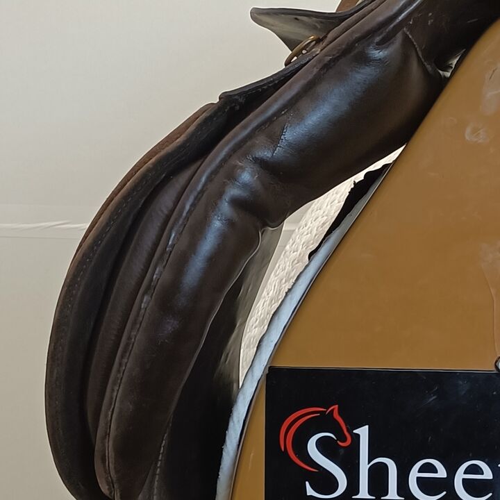 IMG20260515135540.jpg