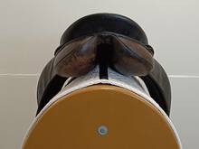 IMG20260519124741.jpg