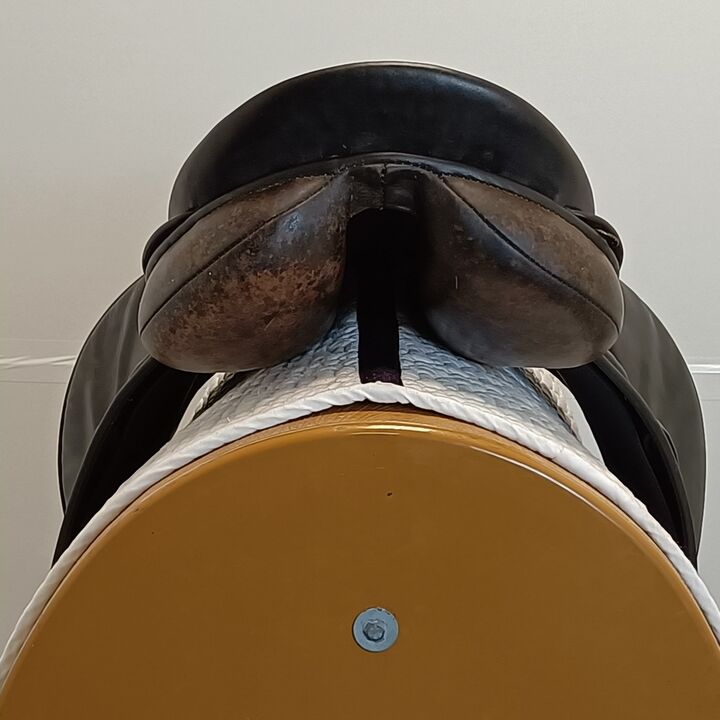 IMG20260519124741.jpg