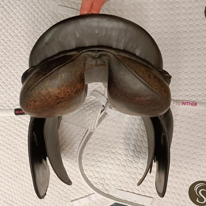 IMG20260519124945.jpg