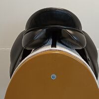IMG20260608135432.jpg