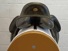 IMG20260629134411.jpg